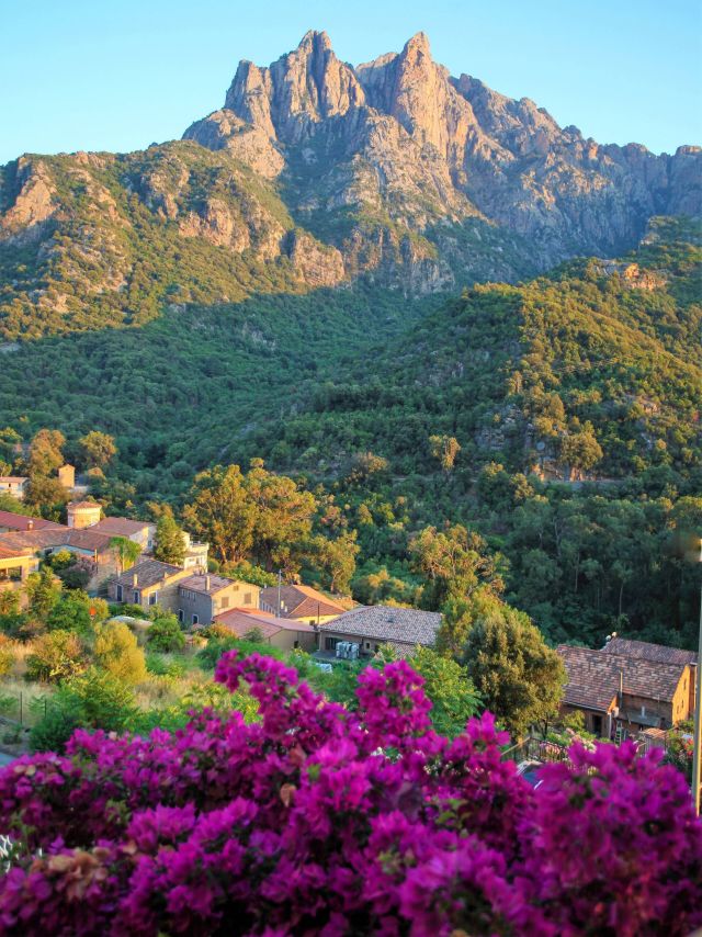 Vue sur le Capo d'Orto depuis la terrasse du bar