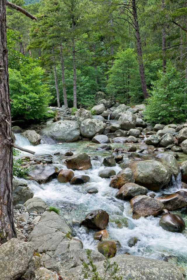 Rivière de Porto